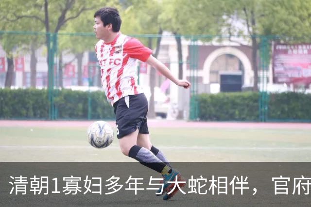 清朝1寡妇多年与大蛇相伴，官府发现真相后，立即将她打入大牢！