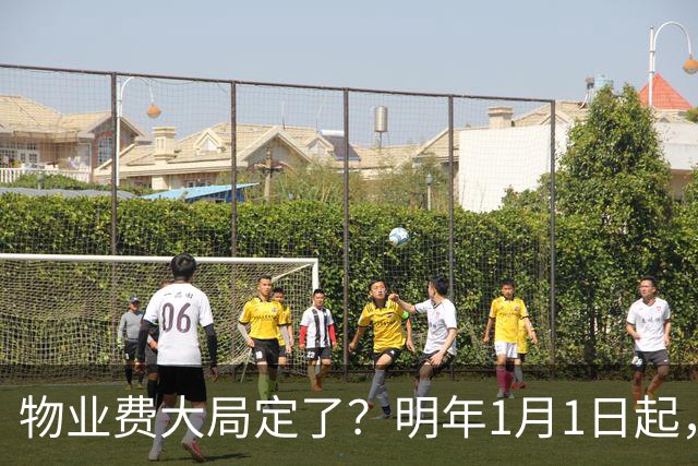 物业费大局定了？明年1月1日起，物业费很大可能迎来4大变化